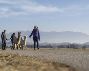 Familienurlaub am Attersee mit Natur- und Erlebnisangeboten
