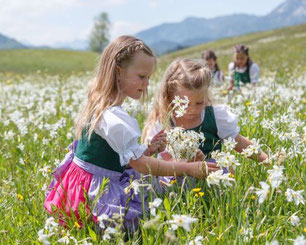 Kinder beim Narzissenpflücken auf der Frühlingswiese beim Narzissenfest im Ausseerland