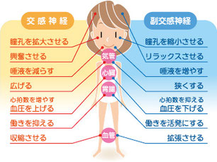 自律神経失調治すならわさだカガヤキ整骨院