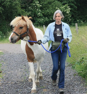 A scene from the book on horse training: taking an unruly young horse on a walk