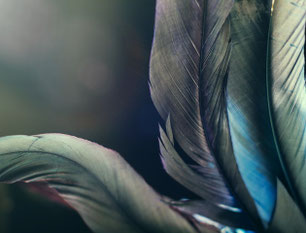 Intimmassage, sexuelle Inspiration