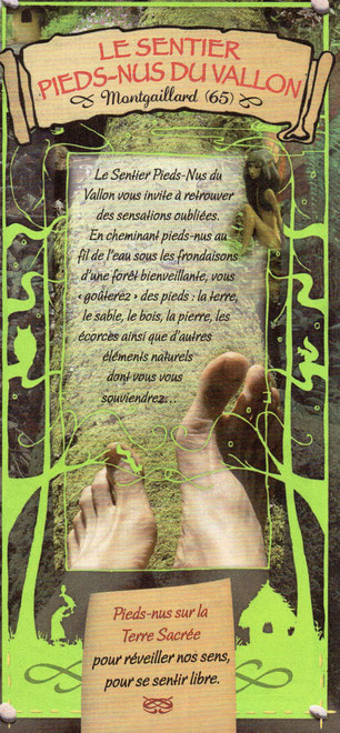 Passees Recettes Plantes Sauvages Comestibles Hautes Pyrenees Maubourguet 65700