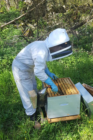 Julie de L'Abeille villadéenne en combinaison d'apicultrice en train de visiter une ruche 