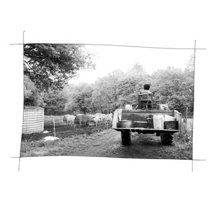 photo noir et blanc enora eleveuse porc tracteur paysames - Johanne Gicquel artiste auteure nature bretagne 