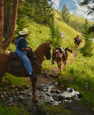 cheval equitation randonnée moutain trail 