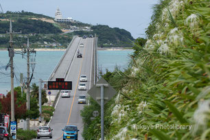 沖縄写真　古宇利大橋　沖縄の風景