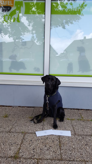 Abby bringt Tombolapreise, Foto: Oetken