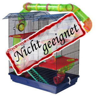 Nicht geeigneter Degu Käfig