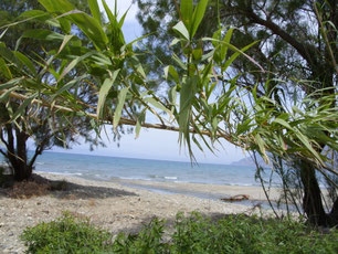 Kreta