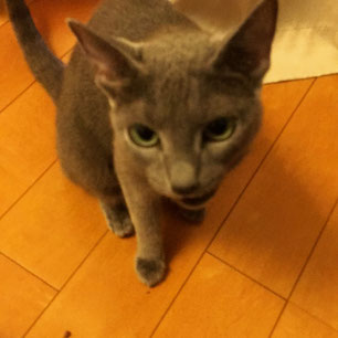 ちょっとワルい顔(笑)