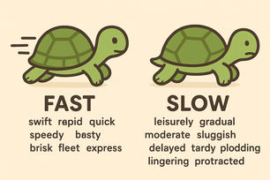Fast - Sinónimos y antónimos en inglés - Ejercicio.