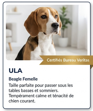 Ula