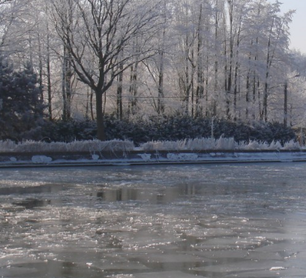 Teich Winter