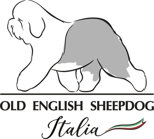logo-old-english-sheepdog-italia-bobtail-sito-ufficiale-affiliato-ENCI-FCI-cane-pastore-inglese-allevamento-cuccioli-puppy-storia-standard-toelettatura-allevatori-italia-campionato-raduni-nazionali-speciali