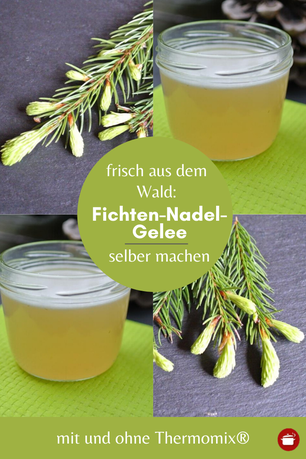 Fichtennadel-Gelee #fichtenhonig #thermomixrezepte #gelee #wald #fichtennadeln