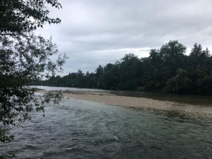Fliegenfischen im Hochsommer.