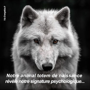 Atelier 'Rencontrer son animal totem' - stage de diane antoine en touraine val de loire - annuaire via energetica, therapies douces