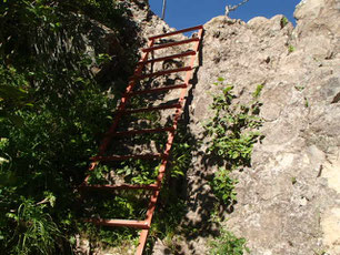 八ヶ岳 縦走 登山 ガイド