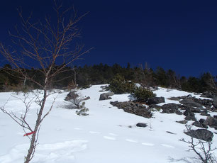 西岳　雪山登山　ガイド