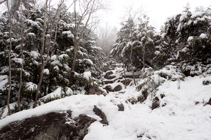 八ヶ岳　積雪情報　2023