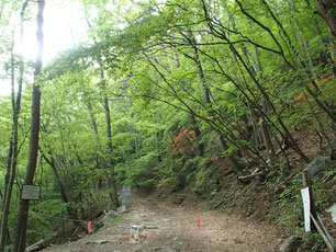 日向山　登山ツアー