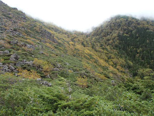 天狗岳ガイド登山