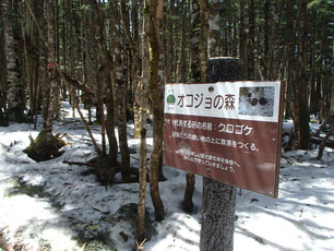 天狗岳 硫黄岳 温泉巡り コース ガイド