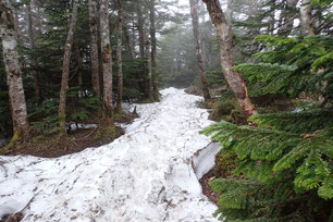 八ヶ岳 残雪情報 2025