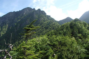 阿弥陀岳　南陵　登山　ガイド