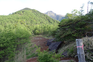 八ヶ岳　真教示尾根　キレット　縦走路　登山　コース　ガイド