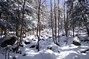 八ヶ岳　蓼科山　雪山登山ツアー　積雪情報