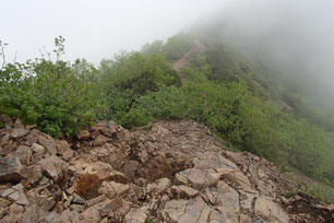 権現岳　登山　ガイド