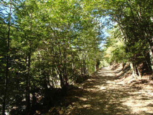 金峰山　廻り目平　登山　ガイド