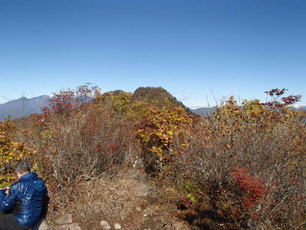 茅ヶ岳　紅葉情報