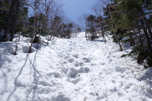 八ヶ岳 残雪情報 2025