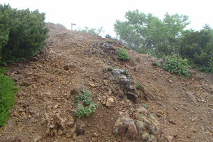 権現岳　登山　ガイド