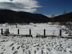 入笠山 積雪情報 2021