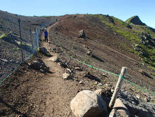 八ヶ岳 縦走 登山 ガイド