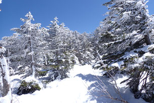 八ヶ岳 残雪情報 2025