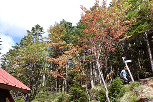 八ヶ岳　赤岳　登山ツアー