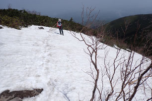 八ヶ岳 残雪情報 2025