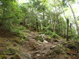 阿弥陀岳　登山　コース　ガイド