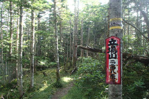 阿弥陀岳　登山　ガイド