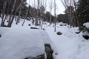 八ヶ岳　蓼科山　雪山登山ツアー　積雪情報