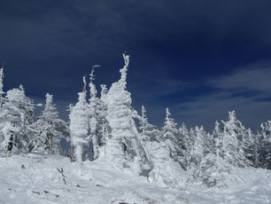 縞枯山　雪山登山　ガイド