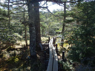 にゅう　登山　ツアー