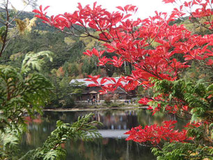 八ヶ岳　紅葉