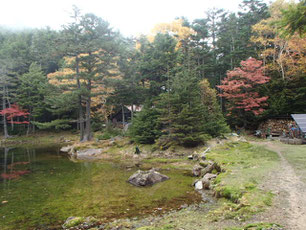 八ヶ岳　紅葉