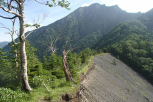 阿弥陀南陵　登山　ガイド