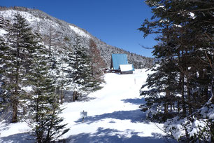 八ヶ岳　縞枯山　雪山　スノーシューツアー